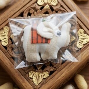 พวงกุญแจช้าง elephant keychain from pa la u